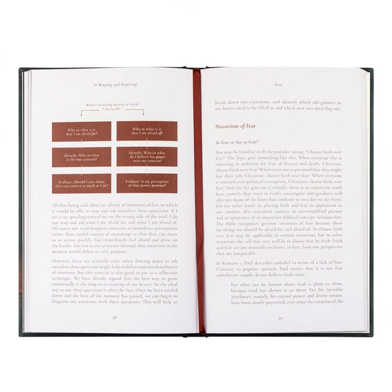 Book: in Weeping and Rejoicing By Paige Stitt Mcbride