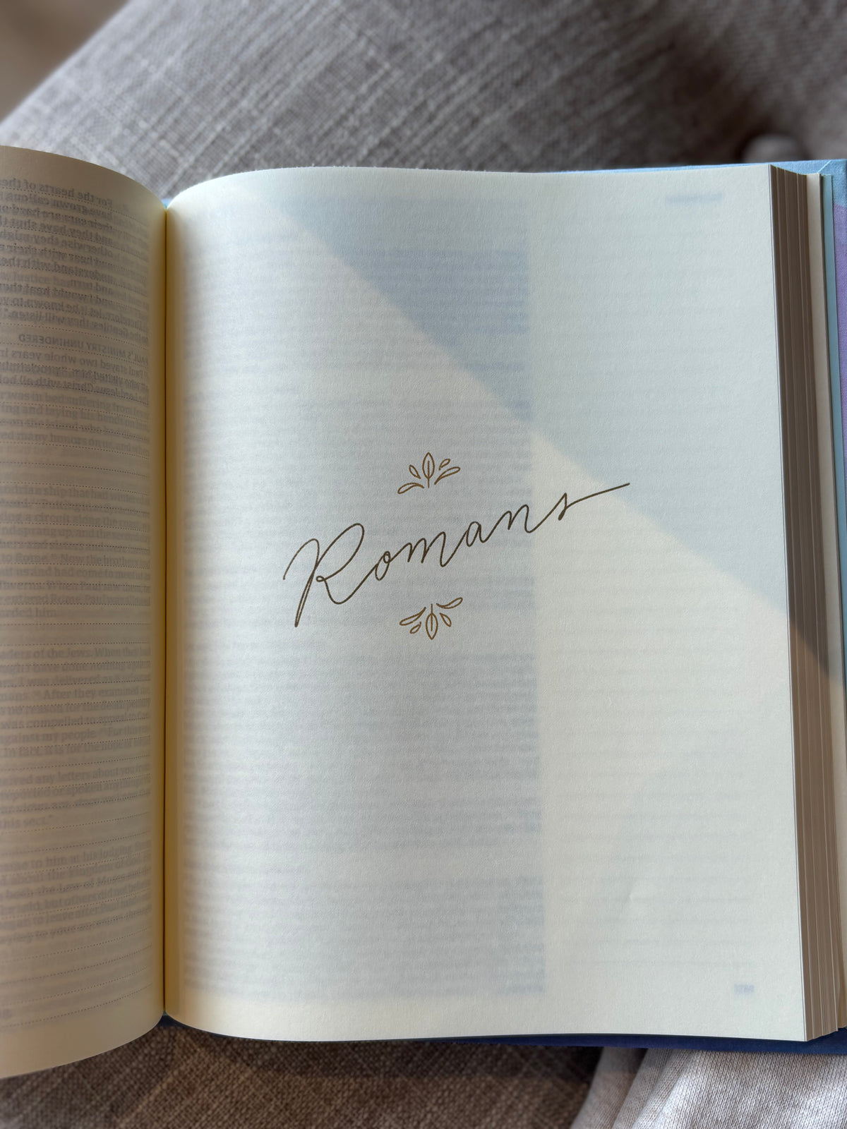 Hosanna Revival Christian Standard Bible Notetaking Margins
