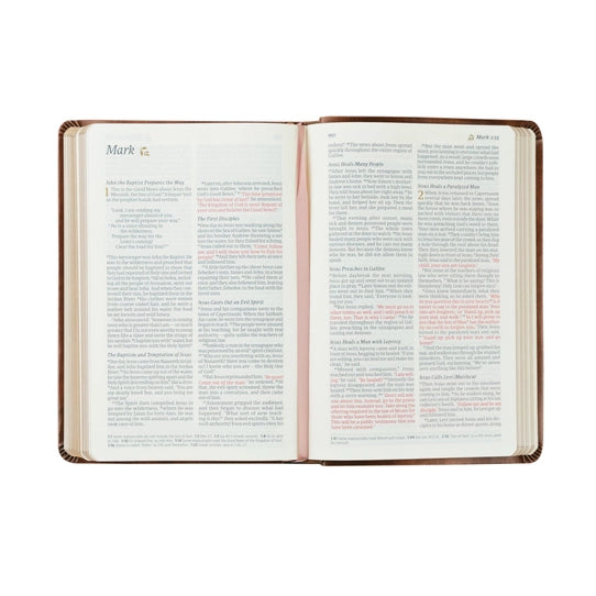 Nlt Compact Bible: Aurora Theme